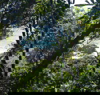 Rainforest Walking Track Hat Head National Park - Surfers Paradise Gold Coast