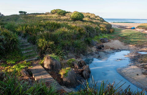Richmond Beach - Surfers Paradise Gold Coast 0