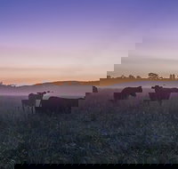 Tapitallee - Surfers Paradise Gold Coast