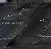 Treelines Track - Surfers Paradise Gold Coast