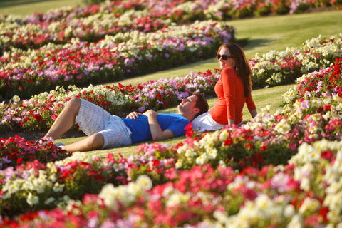 Victoria State Rose Garden At Werribee Park - Surfers Paradise Gold Coast 1