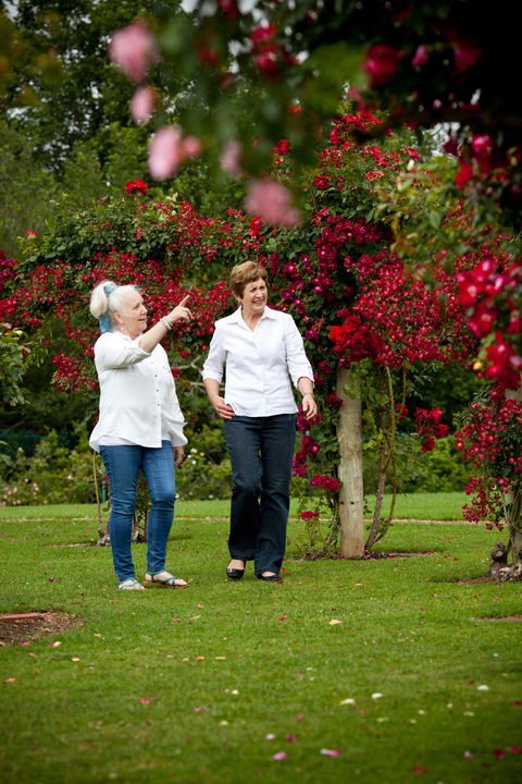 Victoria State Rose Garden At Werribee Park - Surfers Paradise Gold Coast 2