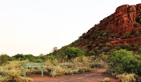 Whyalla Conservation Park - Surfers Paradise Gold Coast 0