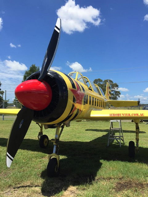 Aerohunter - Surfers Paradise Gold Coast 0