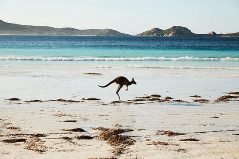 Albany And Esperance - Surfers Paradise Gold Coast 2