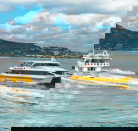Apex Camps Magnetic Island Group Accommodation Activities and Events - Surfers Paradise Gold Coast