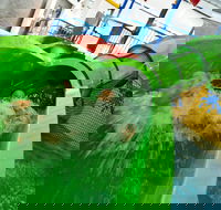 AquaPulse - Surfers Paradise Gold Coast