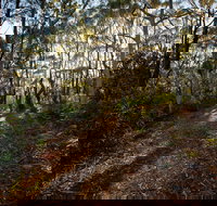 Booderee National Park Munyunga Waraga Dhugan Walking Trail - Surfers Paradise Gold Coast