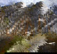 Borenore Karst Conservation Reserve - Surfers Paradise Gold Coast