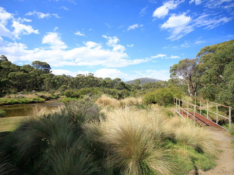 Bullocks Walking Track - Surfers Paradise Gold Coast 0