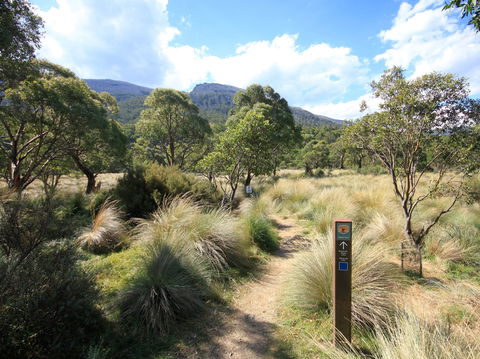 Bullocks Walking Track - Surfers Paradise Gold Coast 2