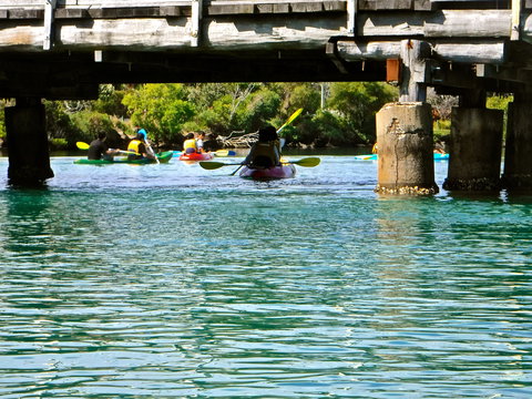 Byron Bay River Nature Kayak Tour - Surfers Paradise Gold Coast 1