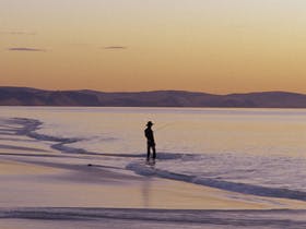 Carrickalinga - Surfers Paradise Gold Coast 2
