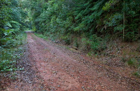Cascade Mountain Bike Trail - Surfers Paradise Gold Coast 0