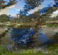 Cooleman Ridge - Surfers Paradise Gold Coast