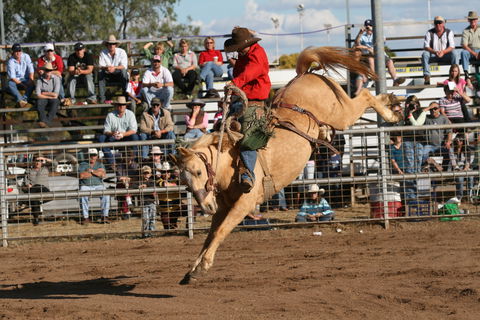 Coonamble - Surfers Paradise Gold Coast 0