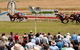 Coonamble - thumb 2