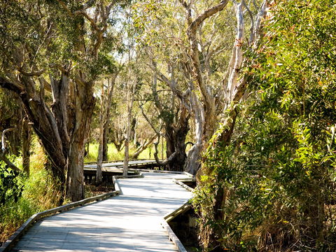 Eagleby Wetlands - Surfers Paradise Gold Coast 1