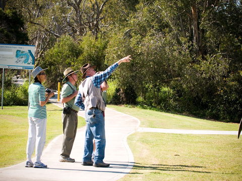 Eagleby Wetlands - Surfers Paradise Gold Coast 2