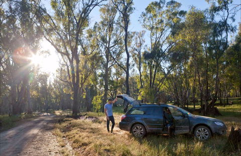 Forest Drive, Murrumbidgee Valley National Park - Surfers Paradise Gold Coast 0