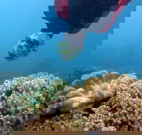 Geoffrey Bay Snorkel Trail - Surfers Paradise Gold Coast