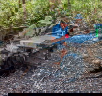 George Boyd picnic area - Surfers Paradise Gold Coast