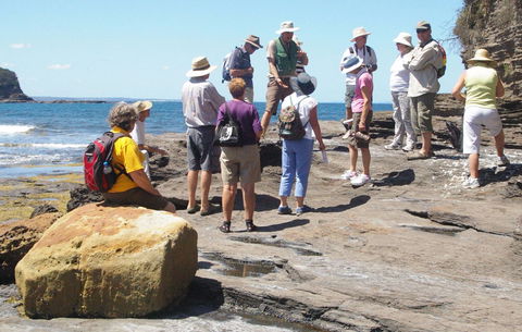 Gondwana Coast Fossil Walk - Surfers Paradise Gold Coast 0