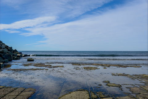 Gondwana Coast Fossil Walk - Surfers Paradise Gold Coast 1