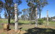 Heritage Sculptures At Pensioners Hill Lookout - thumb 1