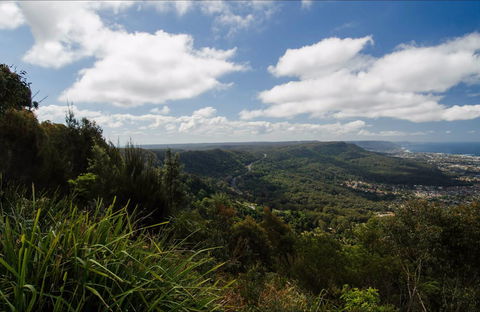 Illawarra Escarpment State Conservation Area - Surfers Paradise Gold Coast 0