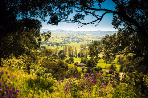 Jugiong - Surfers Paradise Gold Coast 1