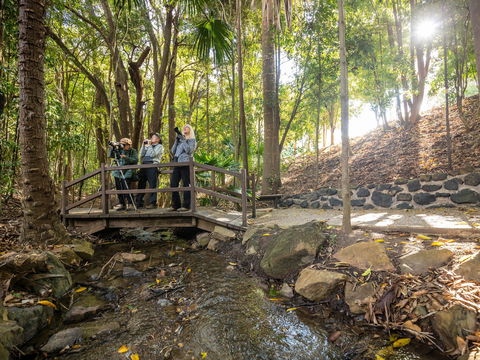 Kholo Gardens Trails - Surfers Paradise Gold Coast 1