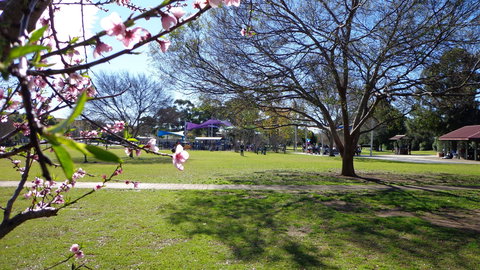 Koshigaya Park - Surfers Paradise Gold Coast 0