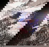 Luddenham Raceway Paintball - Surfers Paradise Gold Coast