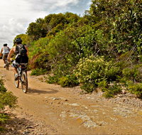 Mountain Biking Trails - Surfers Paradise Gold Coast