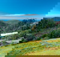 Mount Glorious - Surfers Paradise Gold Coast