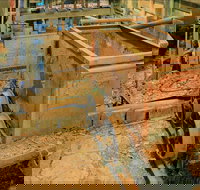 Mountain Maid gold mine - Surfers Paradise Gold Coast