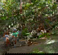 Palms picnic area - Surfers Paradise Gold Coast