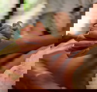 Prani Glow Day Spa - Surfers Paradise Gold Coast