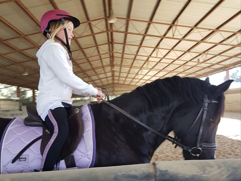 The Equine Club - Surfers Paradise Gold Coast 1