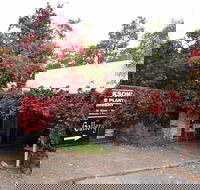 The Gallery Mt Macedon - Surfers Paradise Gold Coast