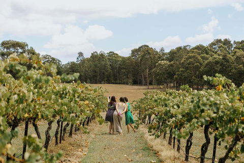 Hunter Valley Premium Food & Drink Pairing Tour - Surfers Paradise Gold Coast 5