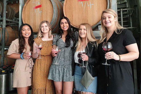 Hunter Valley Wine Tour From The Hunter With Wine Craft Beer Cheese Chocolate - Surfers Paradise Gold Coast 1