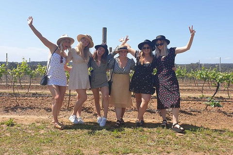 Hunter Valley Wine Tour From The Hunter With Wine Craft Beer Cheese Chocolate - Surfers Paradise Gold Coast 10