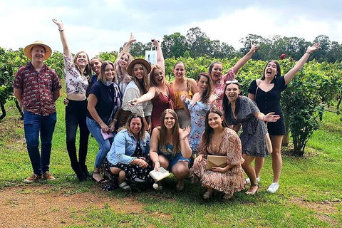 Hunter Valley Wine Tour From The Hunter With Wine Craft Beer Cheese Chocolate - Surfers Paradise Gold Coast 6