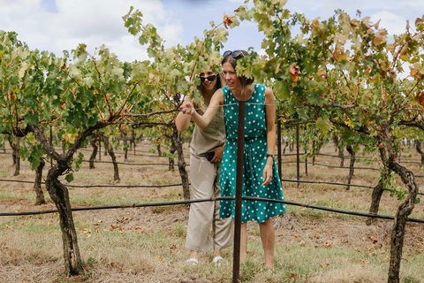Lovedale & North Pokolbin, Hunter Valley Hop-On And Hop-off Bus Tour - Surfers Paradise Gold Coast 4
