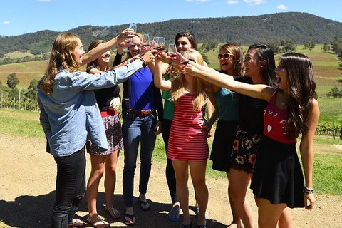 Hunter Valley Wine Tour Ex Newcastle Incl Lunch, Cheese, Chocolate & Distillery - Surfers Paradise Gold Coast 10