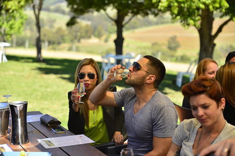 Hunter Valley Wine Tour Ex Newcastle Incl Lunch, Cheese, Chocolate & Distillery - Surfers Paradise Gold Coast 0