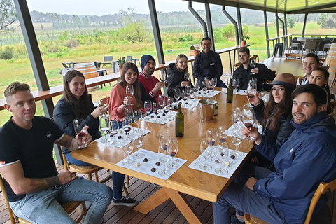 Hunter Valley Wine Tour Ex Newcastle Incl Lunch, Cheese, Chocolate & Distillery - Surfers Paradise Gold Coast 6