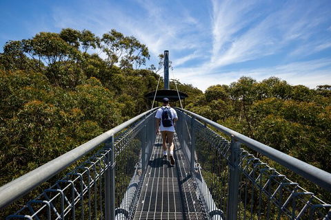 Illawarra Fly Treetop Adventures Treetop Walk Admission Ticket - Surfers Paradise Gold Coast 0